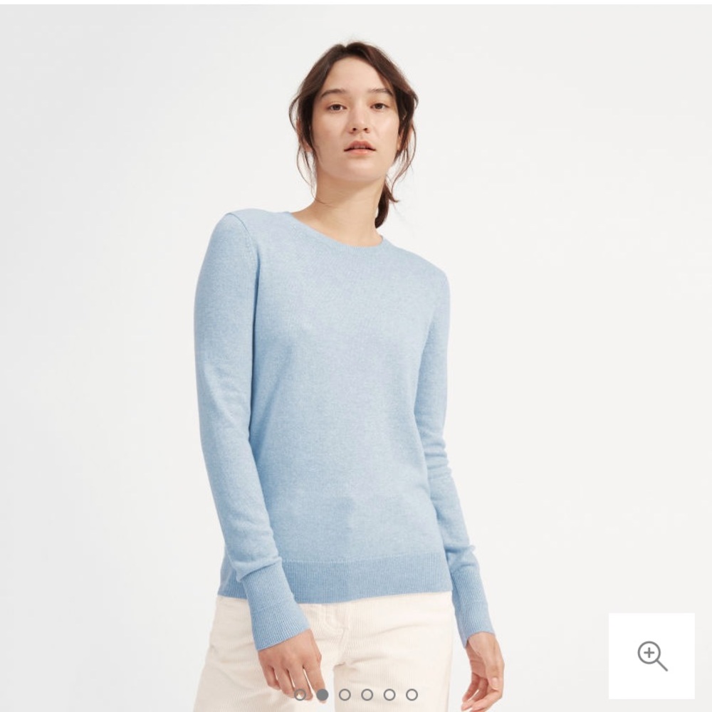 Everlane Cashmere Crew